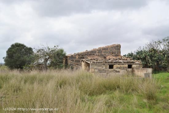 Casa de campo para reformar en Muro. - BALEARES