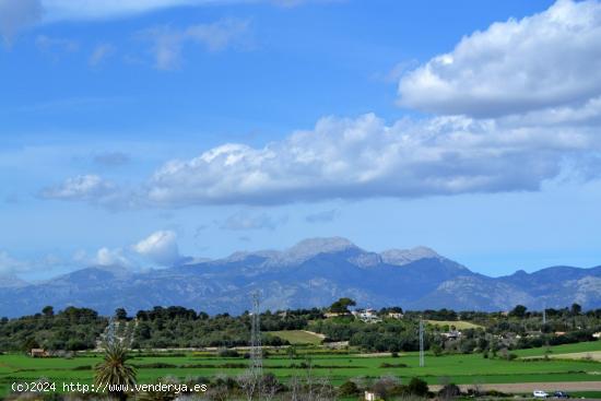 Solar en venta en Muro - BALEARES