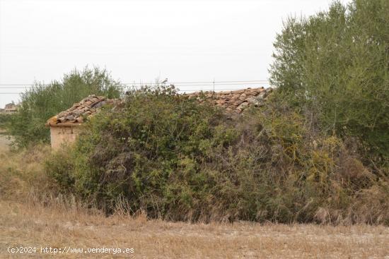 Finca en Suelo Rústico General en Muro - BALEARES