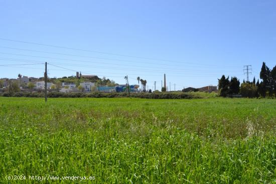 Finca rústica en venta en Santa Margalida. - BALEARES