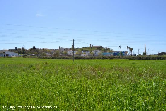 Finca rústica en venta en Santa Margalida. - BALEARES