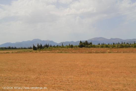 Finca de grandes dimensiones y con maravillosas vistas en venta en Muro. - BALEARES