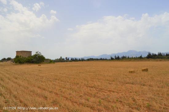 Finca de grandes dimensiones y con maravillosas vistas en venta en Muro. - BALEARES