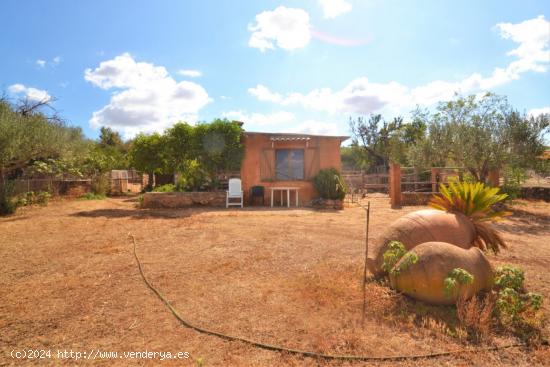 Increíble terreno de 1110 m2   urbanos con vistas a la Tramuntana. - BALEARES