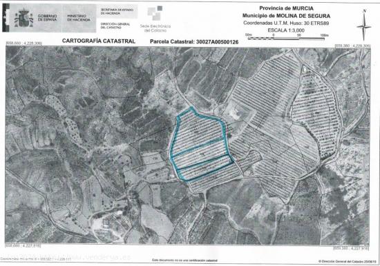 TERRENO RURAL EN CAÑAR SALADO (fENAZAR) - MURCIA