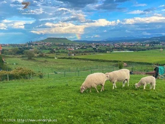 FINCA URBANA ENTRE SANTILLANA DEL MAR Y SUANCES - CANTABRIA