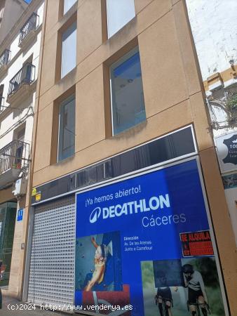 GRAN LOCAL COMERCIAL EN CALLE PINTORES - CACERES