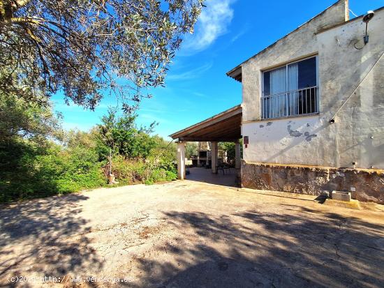 Finca rústica con vivienda carretera Cala Millor - Sa Coma - BALEARES