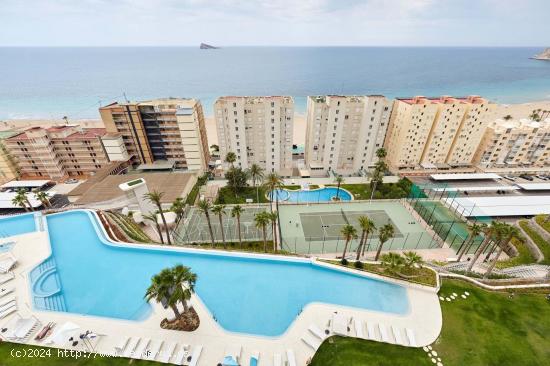 Piso de lujo en Sunset Cliffs a 200m de la Playa de Poniente - www.inmobiliarialesdunes.com - ALICAN