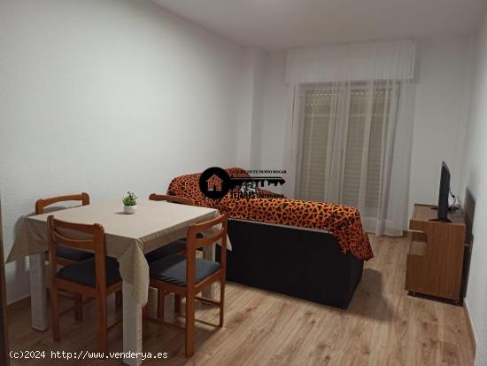 INMOBILIARIA TEJARES ALQUILA PISO ZONA FRANCISCANOS-ENSANCHE - ALBACETE