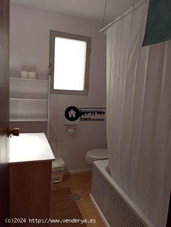 INMOBILIARIA TEJARES ALQUILA PISO ZONA FRANCISCANOS-ENSANCHE - ALBACETE