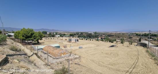 PARCELA DE 10.000 M2. - MURCIA