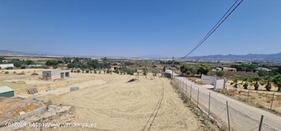 PARCELA DE 10.000 M2. - MURCIA