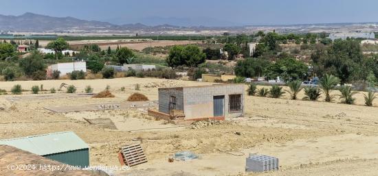 PARCELA DE 10.000 M2. - MURCIA