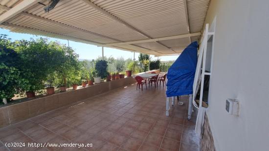 Chalet con piscina - MURCIA