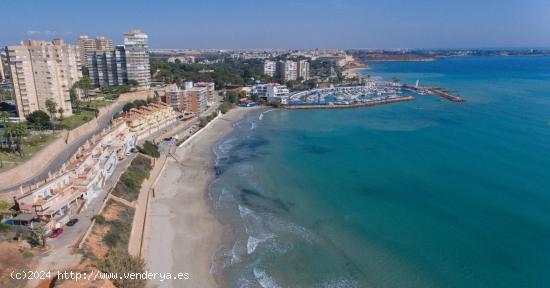 PROMOCIÓN VIVIENDAS EN CAMPOAMOR - ALICANTE