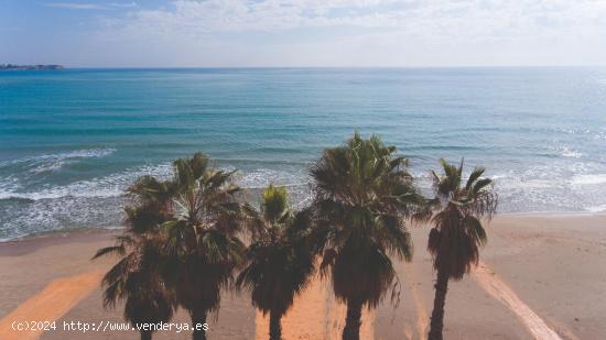 PROMOCIÓN VIVIENDAS EN CAMPOAMOR - ALICANTE