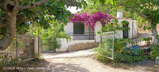 GRAN TERRENO CON CASA, ÁRBOLES FRUTALES Y BONITAS VISTAS - ALICANTE