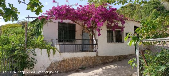 GRAN TERRENO CON CASA, ÁRBOLES FRUTALES Y BONITAS VISTAS - ALICANTE