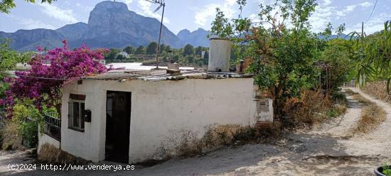 GRAN TERRENO CON CASA, ÁRBOLES FRUTALES Y BONITAS VISTAS - ALICANTE