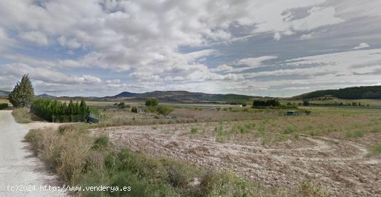 Terreno rustico de regadío en Muruzabal - NAVARRA