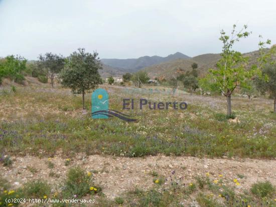 FINCA VALLADA CON AGUA Y FACILIDAD PARA ELECTRICIDAD. REF 226 - MURCIA