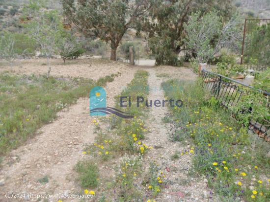 FINCA VALLADA CON AGUA Y FACILIDAD PARA ELECTRICIDAD. REF 226 - MURCIA