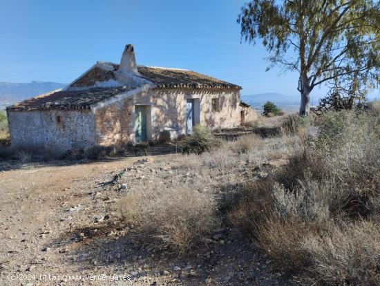 Finca  con regadio con Casa en Ruinas - Raiguero Alto, Totana - MURCIA