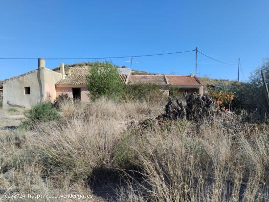 Finca  con regadio con Casa en Ruinas - Raiguero Alto, Totana - MURCIA