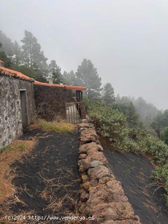 Venta de terreno con casita en  Las Manchas, La Palma - SANTA CRUZ DE TENERIFE