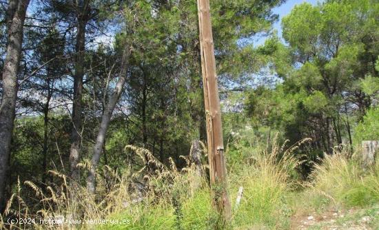 Terreno urbano situado en CANYELLES - BARCELONA