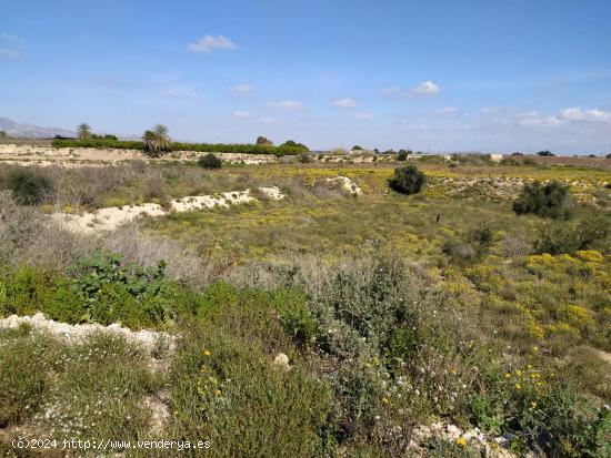 SE VENDE PARCELA RÚSTICA EN ALBATERA - ALICANTE