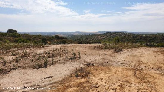 SE VENDE PARCELA RUSTICA EN URBANIZACIÓN URMAROSA - Guarromán