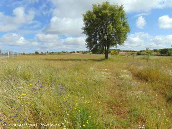 Suelo rústico en Venta en Cerezal De Aliste Zamora