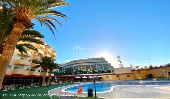 Apartamento en Venta en Arona Santa Cruz de Tenerife