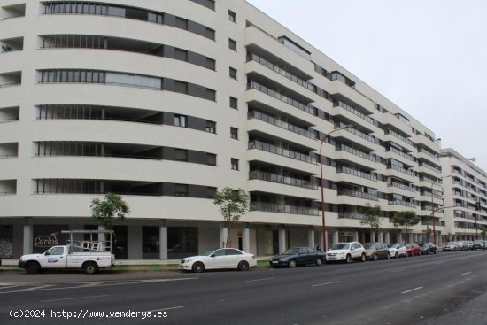 ÚLTIMO LOCAL EN ALQUILER en Avda. de Las Ciencias, (Edificio Argos II)