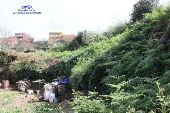  Suelo rústico en Venta en Realejo Alto Santa Cruz de Tenerife 