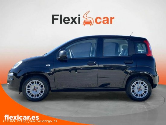 Fiat Panda City Life Hybrid 1.0 Gse 51kw (70CV) - Pamplona