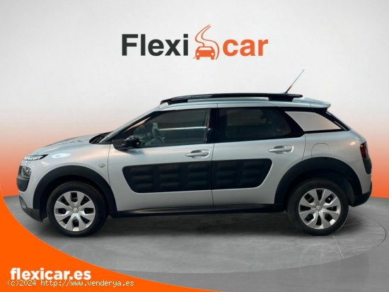 Citroën C4 Cactus BlueHDi 100 Live - Cáceres