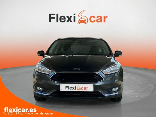 Ford Focus 1.6 TI-VCT 92kW Trend+ Pow. - Sevilla