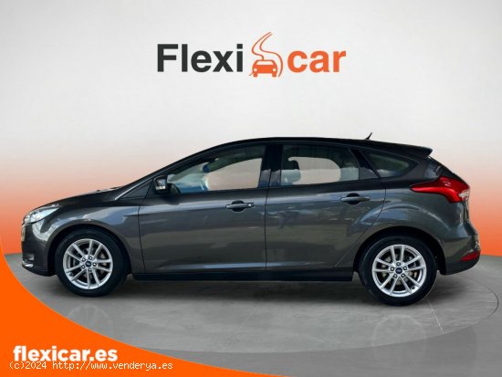 Ford Focus 1.6 TI-VCT 92kW Trend+ Pow. - Sevilla