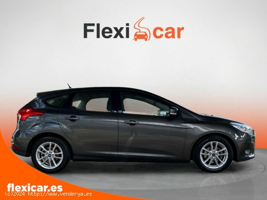 Ford Focus 1.6 TI-VCT 92kW Trend+ Pow. - Sevilla