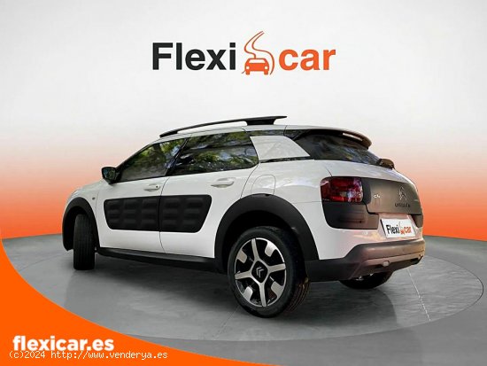 Citroën C4 Cactus BlueHDi 73KW (100CV) Shine - Granada