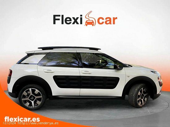 Citroën C4 Cactus BlueHDi 73KW (100CV) Shine - Granada