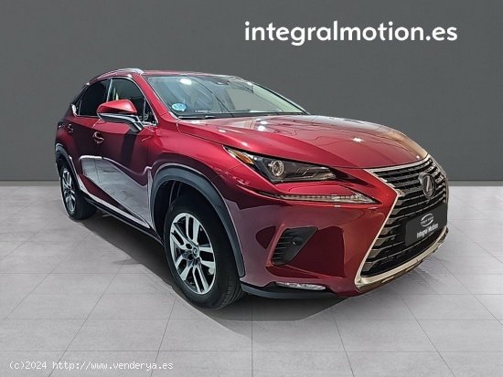 Lexus NX 2.5 300h Executive Navigation 4WD - Leganés