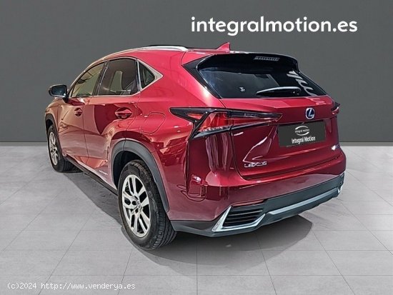 Lexus NX 2.5 300h Executive Navigation 4WD - Leganés