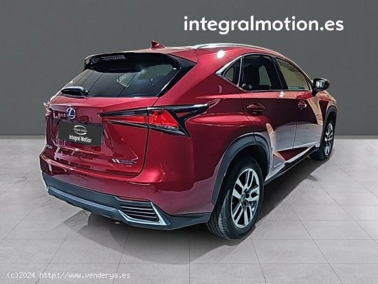 Lexus NX 2.5 300h Executive Navigation 4WD - Leganés