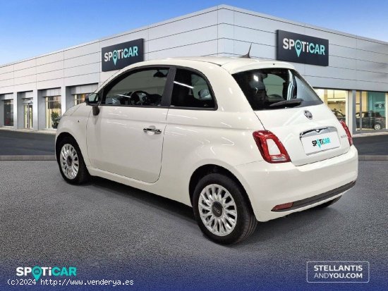 Fiat 500   1.0 Hybrid 51KW (70 CV) Cult - Madrid