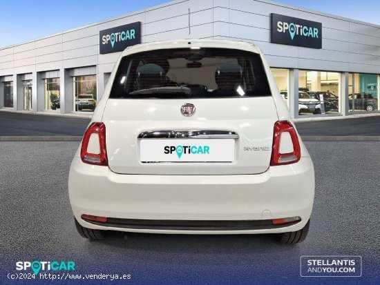 Fiat 500   1.0 Hybrid 51KW (70 CV) Cult - Madrid