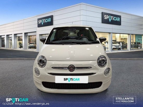 Fiat 500   1.0 Hybrid 51KW (70 CV) Cult - Madrid